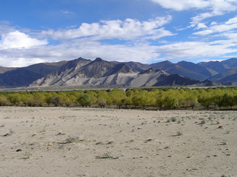 brahmaputravalley.jpg