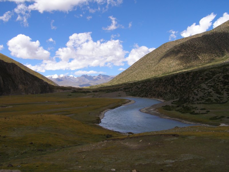 landscape3.jpg