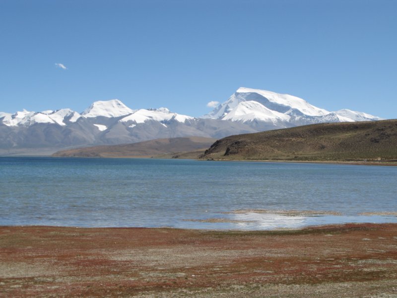 mtgurlamandata7727m.jpg