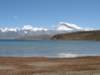 mtgurlamandata7727m_small.jpg