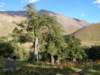 retingmonastery2_small.jpg
