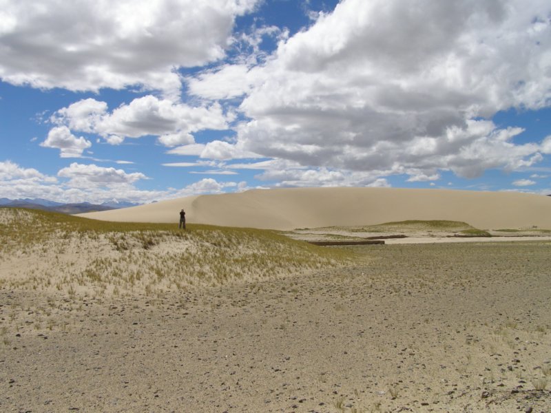 sanddunes.jpg